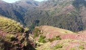 Tocht Stappen Beuil - Gorges du Cians - AR sur les corniches  - Photo 3