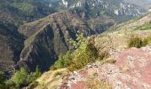 Randonnée Marche Beuil - Beuil - de l'Ablé AR sur les corniches des Gorges du Cians - 12km 520m 4h15 (0h50) - 2014 09 26 - Photo 10