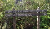 Trail Walking Cilaos - cilaos Bras Rouge - Photo 4
