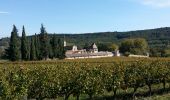 Tocht Stappen Saint-Paulet-de-Caisson - Valbonne botaniques - Photo 15