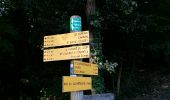 Trail Walking Saint-Michel-d'Euzet - Chartreuse de Valbonne - Photo 8
