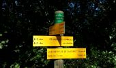 Trail Walking Saint-Michel-d'Euzet - Chartreuse de Valbonne - Photo 2