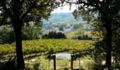 Tocht Stappen Saint-Michel-d'Euzet - Chartreuse de Valbonne - Photo 15