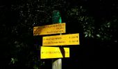 Trail Walking Saint-Michel-d'Euzet - Chartreuse de Valbonne - Photo 13