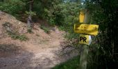 Trail Walking Châtel-Guyon - Les Briffons-Bois d'Agnat - Photo 3
