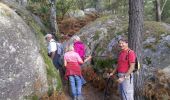 Trail Walking Fontainebleau - M&R-140928 - RocherStGermain - Photo 3