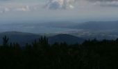 Tour Wandern La Garde-Freinet - la garde freinet - Photo 1