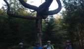 Tour Mountainbike Sprimont - 20141001 Louveigné  - Photo 2