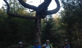 Percorso Mountainbike Sprimont - 20141001 Louveigné  - Photo 2