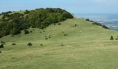 Tour Wandern Rochebaudin - Serre-Gros à Rochebaudin - Photo 20