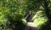 Trail Walking Yvoir - Durnal - Photo 2