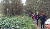 Trail Walking Vosselaar - Vosselaar, 6,7 km - Photo 3