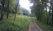 Trail Walking Cordes-sur-Ciel - Cordes-Pechbonnieu - Photo 5