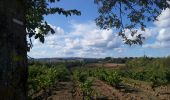 Randonnée Marche Cordes-sur-Ciel - Cordes-Pechbonnieu - Photo 4