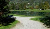 Percorso Marcia Morillon - Lac bleu au lac Aux dames - Photo 2