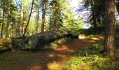 Trail Walking Longpont - en forêt de Retz_29_Longpont_la cave du Diable_A - Photo 15