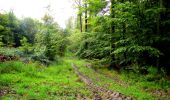 Trail Walking Longpont - en forêt de Retz_28_Longpont_Cabaret_A - Photo 1