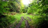 Trail Walking Longpont - en forêt de Retz_28_Longpont_Cabaret_A - Photo 4