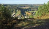 Randonnée Autre activité Saint-Léonard-des-Bois - meandres de la Sarthe - Photo 11