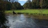 Randonnée Autre activité Saint-Léonard-des-Bois - meandres de la Sarthe - Photo 4