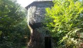 Randonnée Marche Cournon - Cournon dolmen des tablettes - Photo 4
