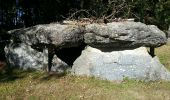 Randonnée Marche Cournon - Cournon dolmen des tablettes - Photo 3