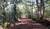 Trail Walking Cournon - Cournon dolmen des tablettes - Photo 1