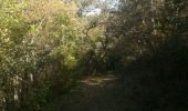 Trail Walking Pampelonne - sentier des crètes - Photo 5