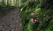 Tocht Andere activiteiten Saint-Léonard-des-Bois - Vallee de la Misere - Photo 2