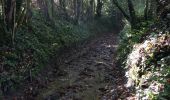 Tocht Andere activiteiten Saint-Léonard-des-Bois - Vallee de la Misere - Photo 1