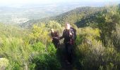 Trail Walking Montesquieu-des-Albères - montesquieu sant cristau par col llinas - Photo 5