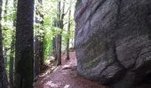 Trail Walking Ottrott - Le mur païen - Photo 9