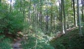 Trail Walking Uccle - Ukkel - Balade en Forêt de Soignes - Photo 3