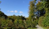 Tocht Stappen Ukkel - Balade en Forêt de Soignes - Photo 1