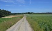 Trail Walking Genappe - Genappe - Circuit Natura 2000, des sites qui valent le détour ! - Bw03 - Photo 16