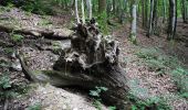 Excursión Senderismo Bouillon - Rochehaut - Natura 2000, des sites qui valent le détour - Lx20 - Photo 20