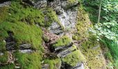 Tour Wandern Bouillon - Rochehaut - Natura 2000, des sites qui valent le détour - Lx20 - Photo 2