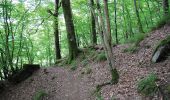 Tocht Stappen Bouillon - Rochehaut - Natura 2000, des sites qui valent le détour - Lx20 - Photo 3