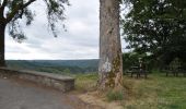 Trail Walking Bouillon - Rochehaut - Natura 2000, des sites qui valent le détour - Lx20 - Photo 6