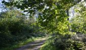 Trail Walking Belœil - Beloeil - Circuit Natura 2000, des sites qui valent le détour -  Ht06 - Photo 1