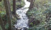 Trail Walking Dambach - balade de la mort :-) - Photo 10