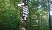 Trail Walking Dambach - balade de la mort :-) - Photo 5