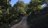 Tocht Stappen Arboras - Arboras - Rocher des 3 vierges - Arboras - Photo 16