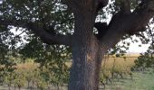 Tocht Stappen Arboras - Arboras - Rocher des 3 vierges - Arboras - Photo 2