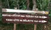 Tour Wandern Salazie - La Réunion - Boucle dans la forêt de Belouve - Point de vue du Trou de fer - Photo 13