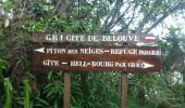 Randonnée Marche Salazie - La Réunion - Boucle dans la forêt de Belouve - Point de vue du Trou de fer - Photo 12