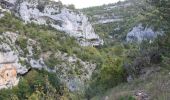 Trail Walking Monieux - Les gorges de la Nesque par Monieux - Photo 4