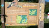 Trail Walking Sergenaux - Sentier Jacquot - Photo 14