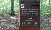 Trail Walking Sergenaux - Sentier Jacquot - Photo 3