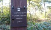 Trail Walking Sergenaux - Sentier Jacquot - Photo 4